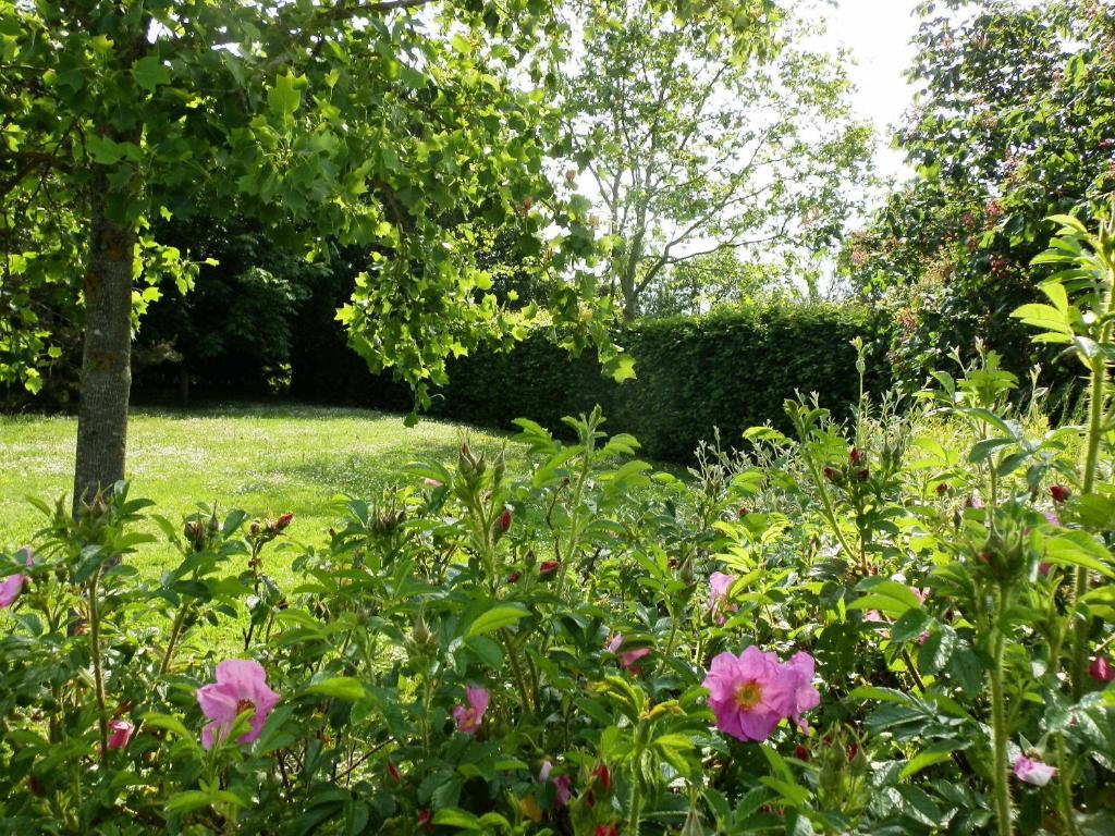 La Roulotte Du Domaine De Meigne Номер фото